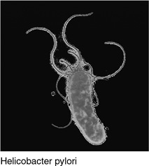 Иллюстрация к книге — На грани возможного. Наука выживания [i_086.jpg]