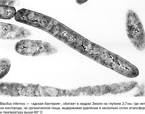 Иллюстрация к книге — На грани возможного. Наука выживания [i_087.jpg]