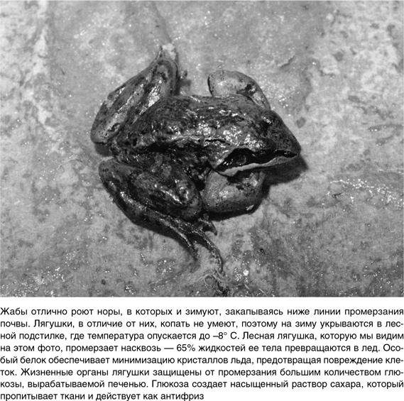 Иллюстрация к книге — На грани возможного. Наука выживания [i_088.jpg]