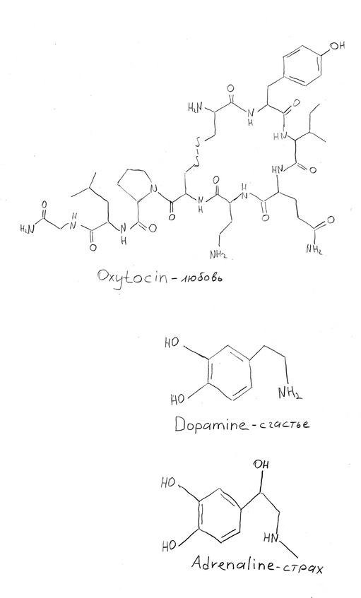 Иллюстрация к книге — Как работает мир, в котором я живу [image7_587e04385b52051e62dce07f_jpg.jpg]