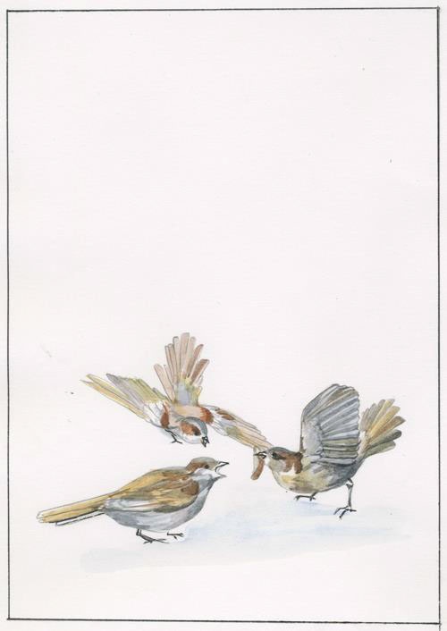 Иллюстрация к книге — Каникулы Энн [i_002.jpg]