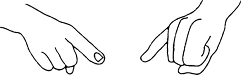 Иллюстрация к книге — Буквограмма. В школу с радостью. Коррекция и развитие письменной и устной речи. От 5 до 14 лет [i_006.jpg]