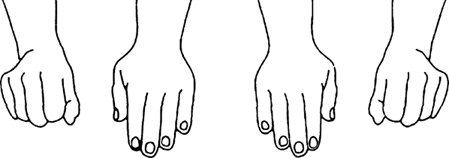 Иллюстрация к книге — Буквограмма. В школу с радостью. Коррекция и развитие письменной и устной речи. От 5 до 14 лет [i_008.jpg]