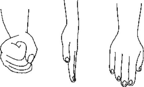 Иллюстрация к книге — Буквограмма. От 0 до 3. Развиваем мышление, речь, память, внимание. Уникальная комплексная программа развития малышей [i_021.jpg]