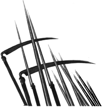 Иллюстрация к книге — Крестьянство России в Гражданской войне. К вопросу об истоках сталинизма [i_002.jpg]