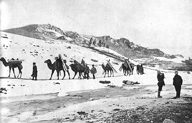 Иллюстрация к книге — Турецкий фронт России. 1914-1917 [_34.jpg]