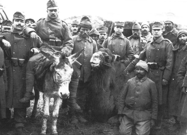 Иллюстрация к книге — Турецкий фронт России. 1914-1917 [_41.jpg]