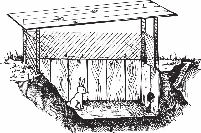 Иллюстрация к книге — Кролиководство для начинающих [_25.jpg]