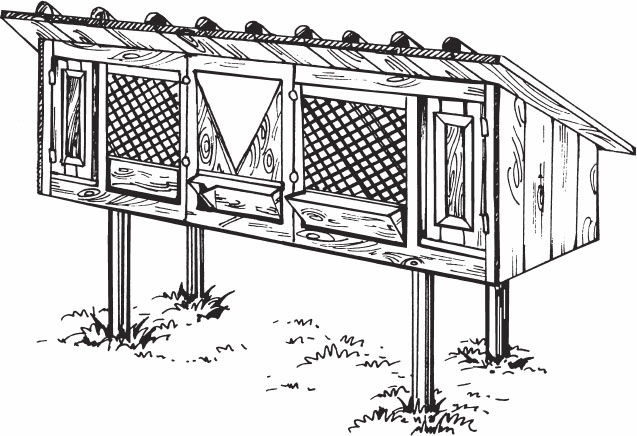 Иллюстрация к книге — Кролиководство для начинающих [_29.jpg]