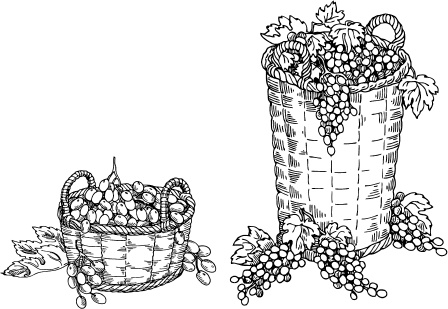 Иллюстрация к книге — Большая энциклопедия виноградаря [_101.jpg]