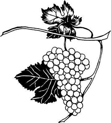 Иллюстрация к книге — Большая энциклопедия виноградаря [_118.jpg]