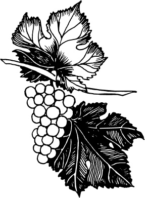 Иллюстрация к книге — Большая энциклопедия виноградаря [_124.jpg]