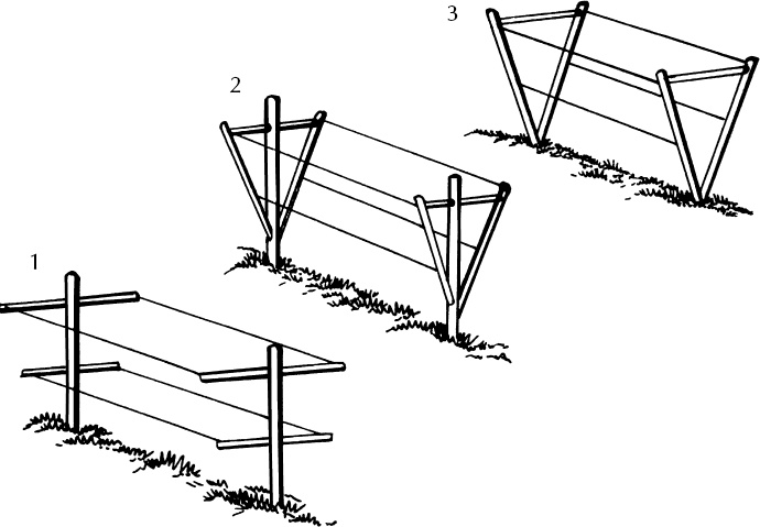 Иллюстрация к книге — Большая энциклопедия виноградаря [_130.jpg]