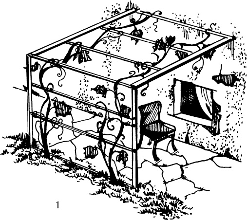 Иллюстрация к книге — Большая энциклопедия виноградаря [_131.jpg]