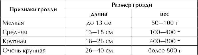 Иллюстрация к книге — Большая энциклопедия виноградаря [_14.jpg]
