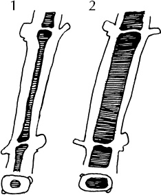 Иллюстрация к книге — Большая энциклопедия виноградаря [_49.jpg]