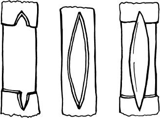 Иллюстрация к книге — Большая энциклопедия виноградаря [_84.jpg]