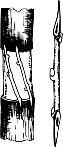 Иллюстрация к книге — Большая энциклопедия виноградаря [_86.jpg]