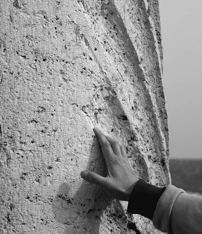 Иллюстрация к книге — Сирийские перекрестки цивилизации [_37.jpg]