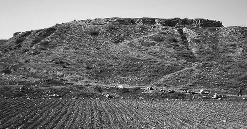 Иллюстрация к книге — Сирийские перекрестки цивилизации [_50.jpg]