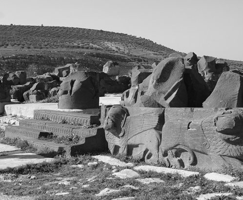 Иллюстрация к книге — Сирийские перекрестки цивилизации [_54.jpg]