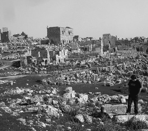 Иллюстрация к книге — Сирийские перекрестки цивилизации [_75.jpg]