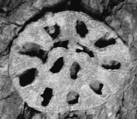 Иллюстрация к книге — Рюрик и мистика истинной власти [_25.jpg]