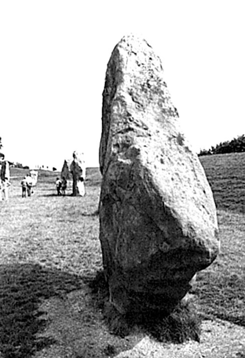 Иллюстрация к книге — Разгадка тайны Стоунхенджа [_24.jpg]