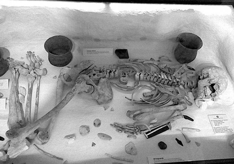 Иллюстрация к книге — Разгадка тайны Стоунхенджа [_36.jpg]