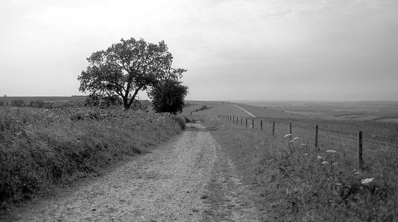 Иллюстрация к книге — Разгадка тайны Стоунхенджа [_44.jpg]