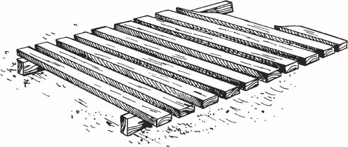 Иллюстрация к книге — Птицеводство для начинающих. Полный справочник [_03.jpg]