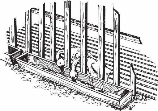 Иллюстрация к книге — Птицеводство для начинающих. Полный справочник [_04.jpg]