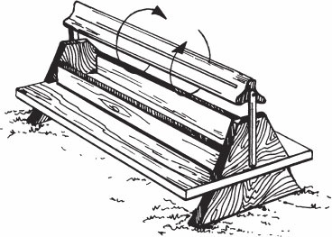 Иллюстрация к книге — Птицеводство для начинающих. Полный справочник [_06.jpg]