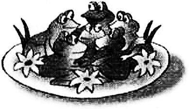 Иллюстрация к книге — Громикус против Клокудры [i_020.jpg]