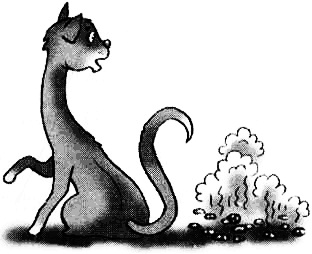 Иллюстрация к книге — Громикус против Клокудры [i_023.jpg]