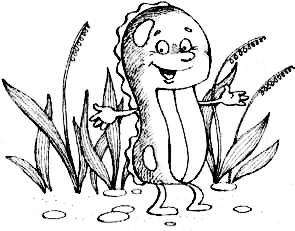 Иллюстрация к книге — Калоша Волшебника, или Занимательное пособие по правилам поведения [i_003.jpg]