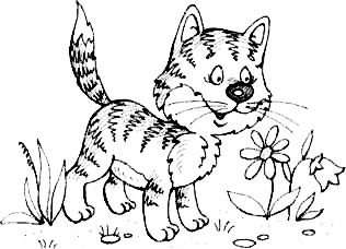 Иллюстрация к книге — Калоша Волшебника, или Занимательное пособие по правилам поведения [i_011.jpg]