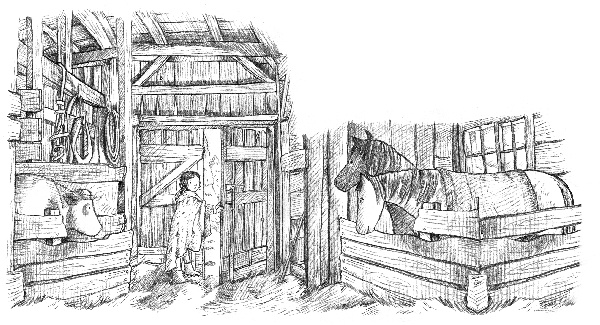 Иллюстрация к книге — Рождественские истории. Девочка с портрета [ww_10copy.jpg]