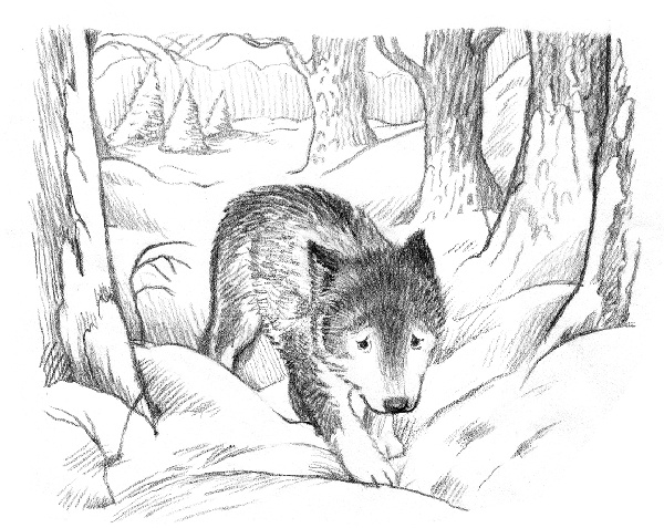 Иллюстрация к книге — Рождественские истории. Девочка с портрета [ww_22copy.jpg]