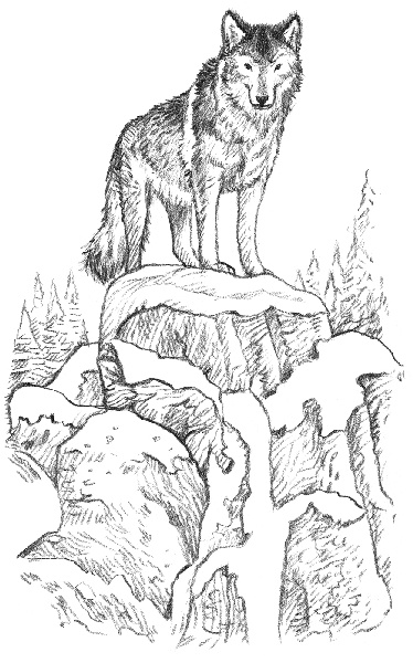 Иллюстрация к книге — Рождественские истории. Девочка с портрета [ww_25copy.jpg]