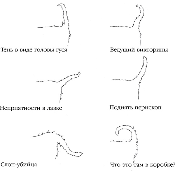 Иллюстрация к книге — Под лапой. Исповедь кошатника [_072.jpg]