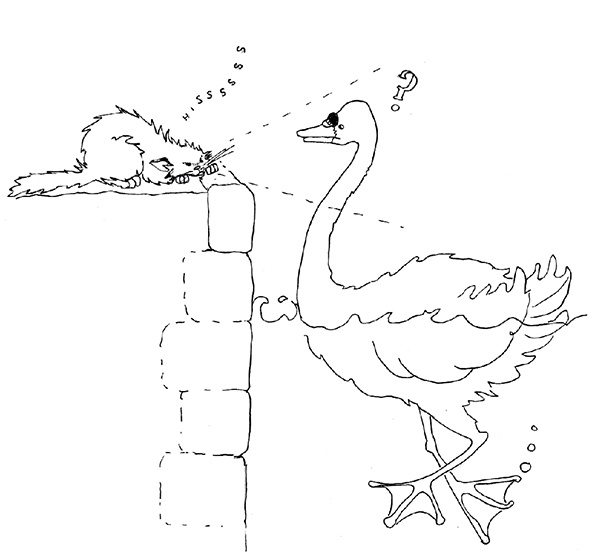 Иллюстрация к книге — Под лапой. Исповедь кошатника [_155.jpg]