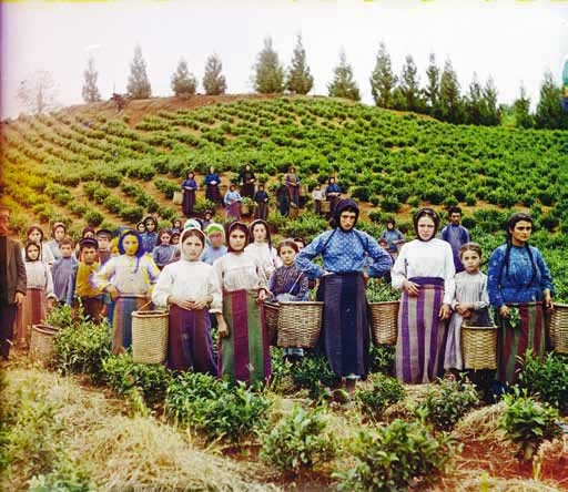 Иллюстрация к книге — Великие умы России. Том 3. Сергей Прокудин-Горский [i_034.jpg]