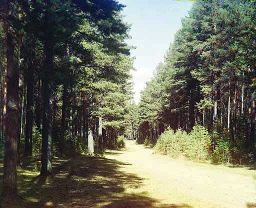 Иллюстрация к книге — Великие умы России. Том 3. Сергей Прокудин-Горский [i_045.jpg]