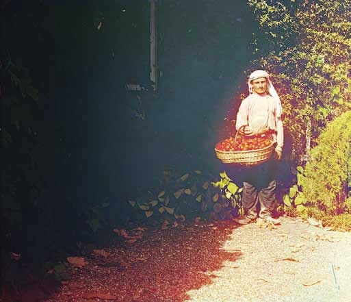 Иллюстрация к книге — Великие умы России. Том 3. Сергей Прокудин-Горский [i_046.jpg]