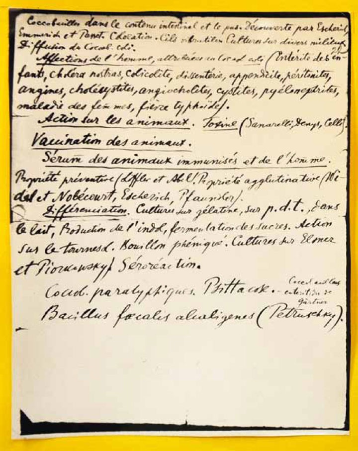 Иллюстрация к книге — Великие умы России. Том 7. Илья Мечников [i_011.jpg]