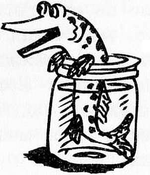 Иллюстрация к книге — Рояль в сугробе [i_034.jpg]