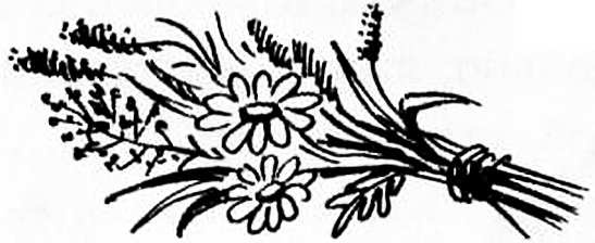 Иллюстрация к книге — Рояль в сугробе [i_066.jpg]