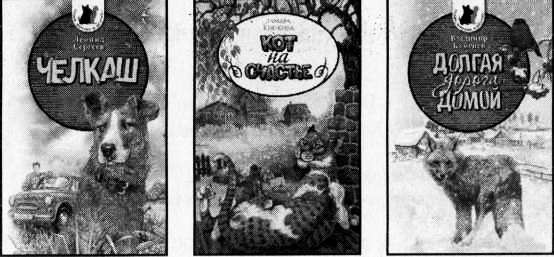 Иллюстрация к книге — Рояль в сугробе [i_082.jpg]