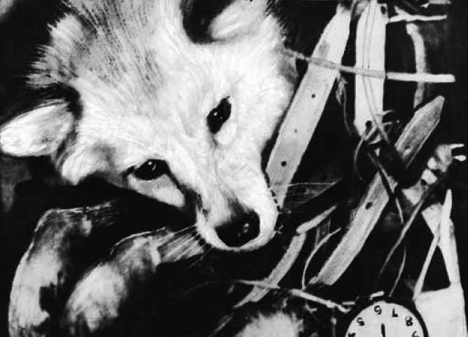 Иллюстрация к книге — Великие умы России. Том 10. Сергей Королев [i_021.jpg]